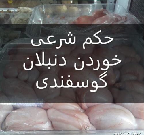 خوردن دنبلان گوسفندی چه حکمی دارد 1 1262718799 samatak com