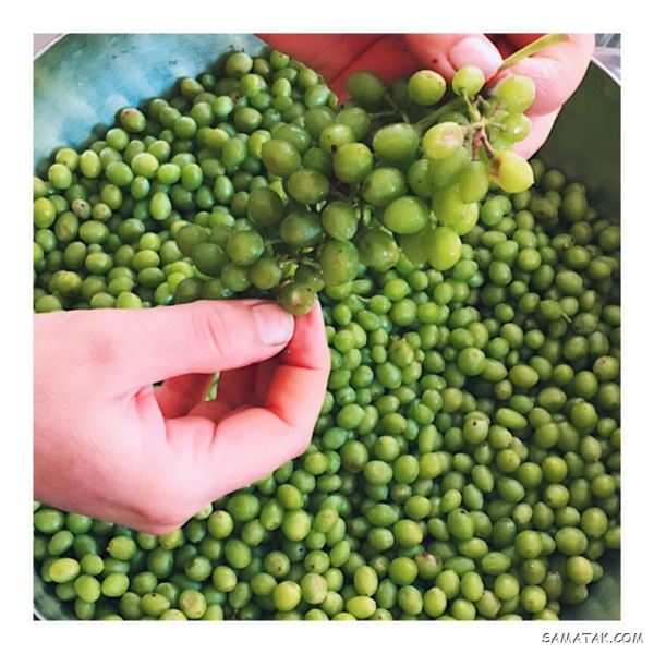 خواص آبغوره برای کبد، دیابت، لاغری، پوست، چربی خون و فشار خون خواص آبغوره برای کبد، دیابت، لاغری، پوست، چربی خون و فشار خون