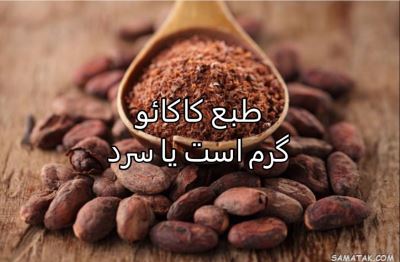 طبع کاکائو گرم است یا سرد | طبع کاکائو در طب سنتی 1 850678904 samatak com
