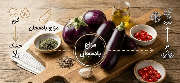 طبع بادمجان سرد است یا گرم + مصلح بادمجان در طب سنتی 2 طبع بادمجان سرد است یا گرم 1