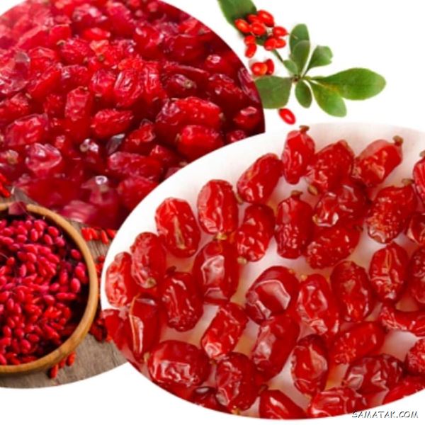 طبع زرشک گرم است یا سرد | طبع زرشک در طب سنتی