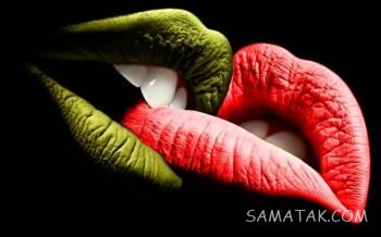چگونه لب بگیریم | آموزش تصویری لب گیری عاشقانه روی تخت 2 518546444 samatak com