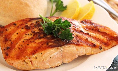 طرز تهیه ماهی کبابی با توری روی زغال + بهترین ماهی برای کباب چیست طرز تهیه ماهی کبابی با توری روی زغال + بهترین ماهی برای کباب چیست
