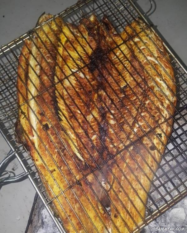 طرز تهیه ماهی کبابی با توری روی زغال + بهترین ماهی برای کباب چیست طرز تهیه ماهی کبابی با توری روی زغال + بهترین ماهی برای کباب چیست