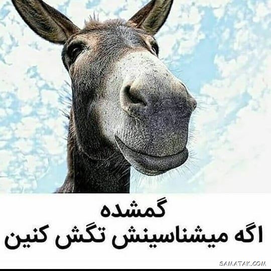چیستان های بی مزه و خنده دار همراه با جواب چیستان های بی مزه و خنده دار همراه با جواب