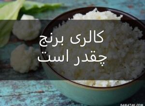 1194797037 samatak com