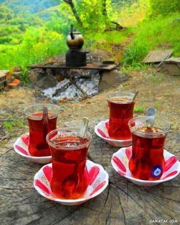 عکس صبحانه در طبیعت | عکس صبحانه لاکچری عکس صبحانه در طبیعت | عکس صبحانه لاکچری