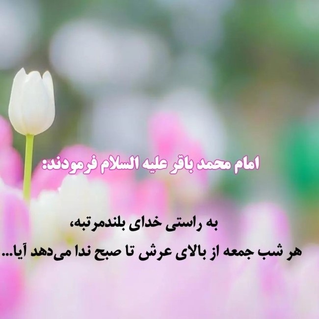 عکس ولادت امام محمد باقر 27 عکس ولادت امام محمد باقر 27