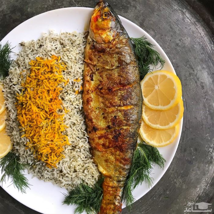 کدام ماهی از کم تیغ ترین ماهی ها است ماهی شیر یا ماهی شوریده