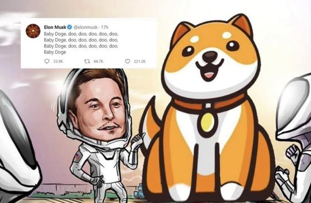 BabyDoge، ارز دیجیتال نوظهور و محبوب سال 2022 را بیشتر بشناسید