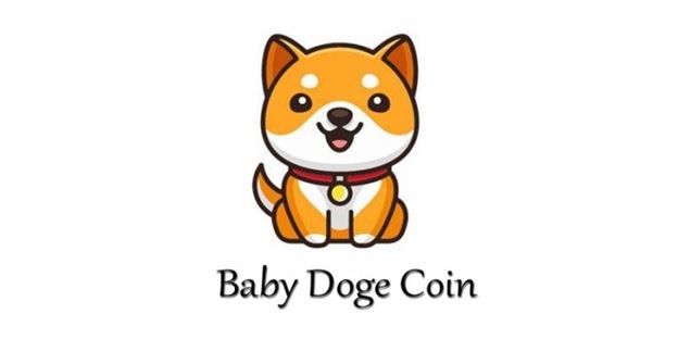 BabyDoge، ارز دیجیتال نوظهور و محبوب سال 2022 را بیشتر بشناسید
