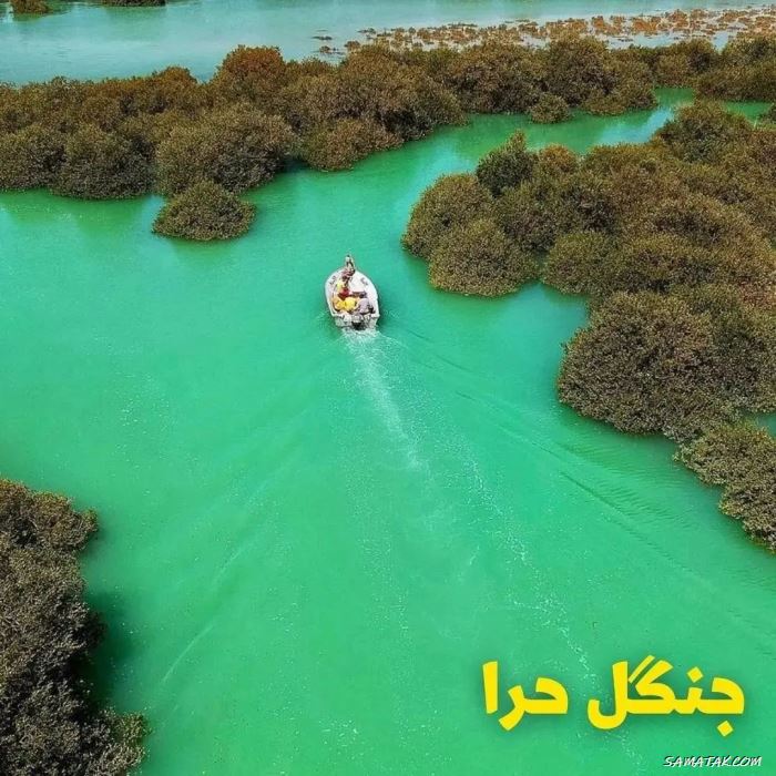 لیست خانه معلم های قشم و درگهان + عکس، آدرس و شماره تلفن لیست خانه معلم های قشم و درگهان + عکس، آدرس و شماره تلفن