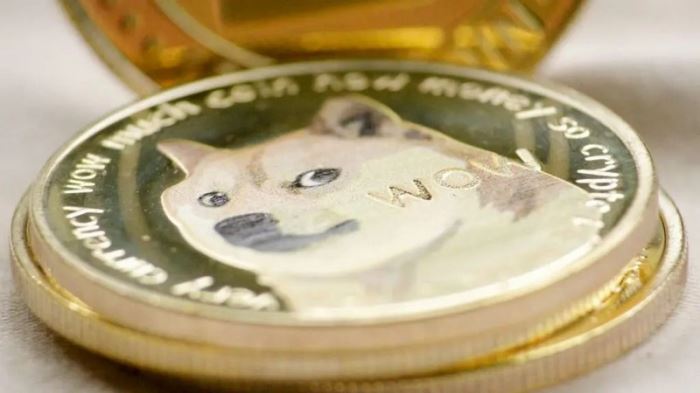 حرکت نهنگها به سمت ارز دیجیتال doge حرکت نهنگها به سمت ارز دیجیتال doge