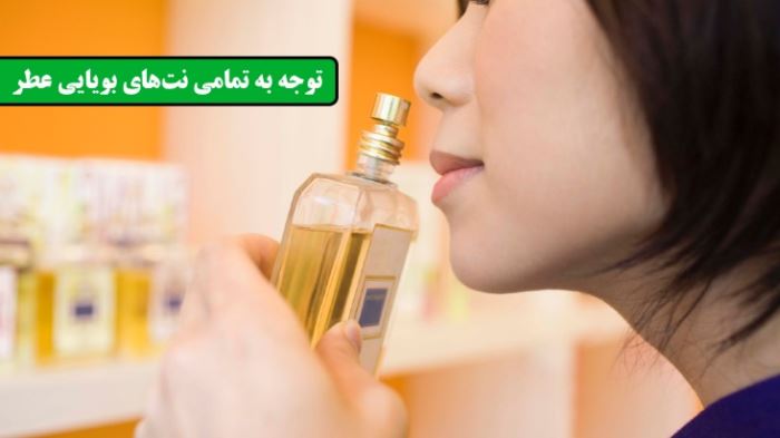 توجه به تمامی نت‌های بویایی عطر - پرفروش‌ترین عطر و ادکلن‌ها در بازار ایران کدامند - درین عطر