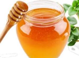 مشخصات و خواص عسل گون اصل ایرانی 94 848778146 samatak com