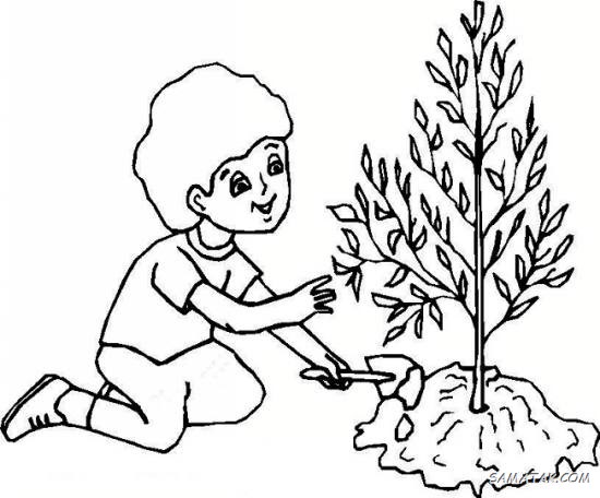 زیباترین نقاشی روز درختکاری برای مدرسه زیباترین نقاشی روز درختکاری برای مدرسه