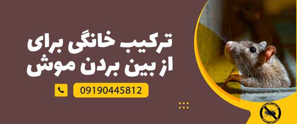 سمپاشی موش با سم خانگی