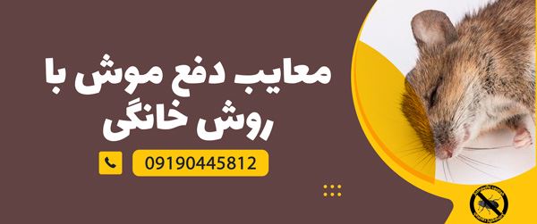 روش خانگی برای دفع موش