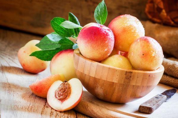 چگونه بهترین باردهی را از نهال میوه، هلو و شلیل داشته باشیم؟ چگونه بهترین باردهی را از نهال میوه، هلو و شلیل داشته باشیم؟