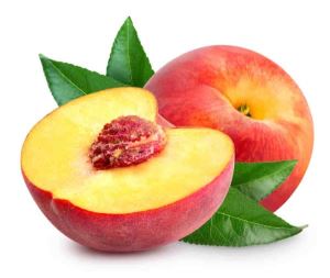 چگونه بهترین باردهی را از نهال میوه، هلو و شلیل داشته باشیم؟ 1 631606919 samatak com