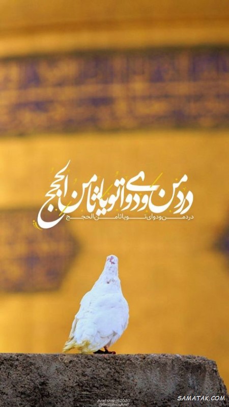 پیامک طلب حلالیت برای سفر مشهد + متن خداحافظی برای زیارت امام رضا
