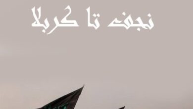 تعداد عمودهای نجف تا کربلا + فاصله هر عمود در کربلا 5 1094812808 samatak com