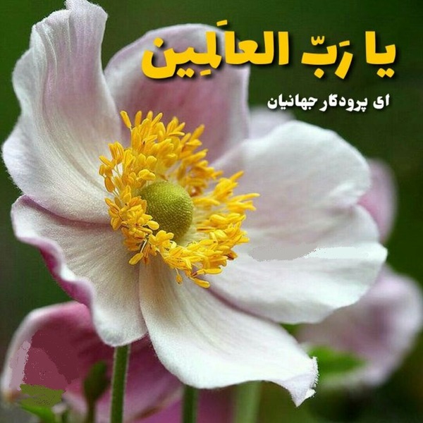 ذکر روز شنبه با معنی + ذکر روز شنبه با تصویر