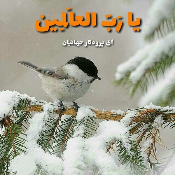 ذکر روز شنبه با معنی + ذکر روز شنبه با تصویر