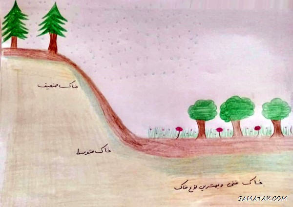 نقاشی در مورد خاک + نقاشی روز جهانی خاک نقاشی در مورد خاک + نقاشی روز جهانی خاک