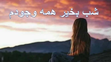 متن شب بخیر همه وجودم بهترین اتفاق زندگیم 131 متن شب بخیر همه وجودم بهترین اتفاق زندگیم