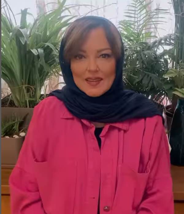 پرستو گلستانی بازیگر نقش هانیه در سریال به کجا چنین شتابان