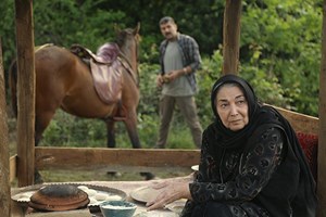 اسامی بازیگران سریال در کنار پروانه ها + نام نقش های سریال با عکس 313 اسامی بازیگران سریال در کنار پروانه ها 1