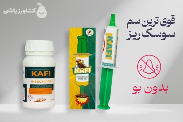 قوی ترین سم سوسک ریز کدام است؟ 3 قوی ترین سم سوسک ریز