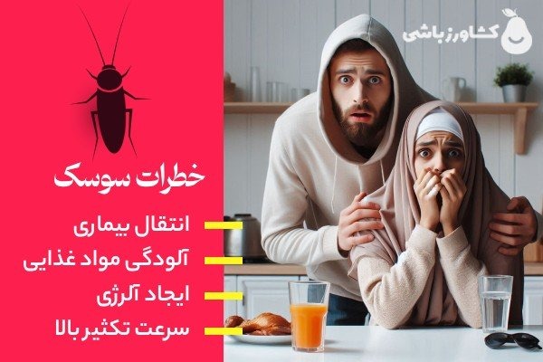 قوی ترین سم سوسک ریز کدام است؟ 6 خطرات سوسک ریز - سوسک آلمانی