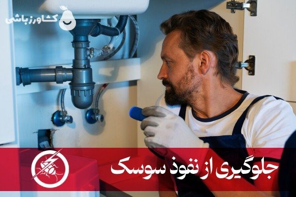 قوی ترین سم سوسک ریز کدام است؟ 9 جلوگیری از نفوذ سوسک ریز کابینت