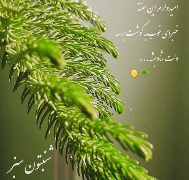 استوری صبح شنبه 10
