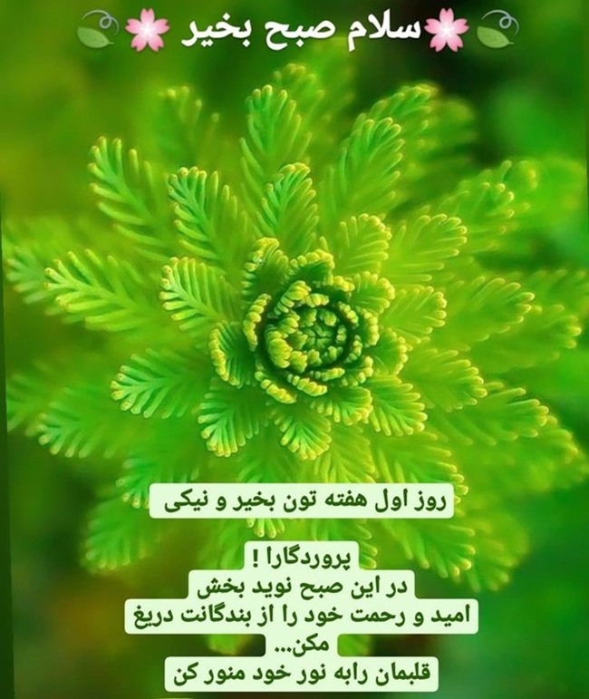 استوری صبح شنبه 13