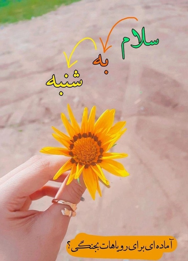 استوری صبح شنبه 4