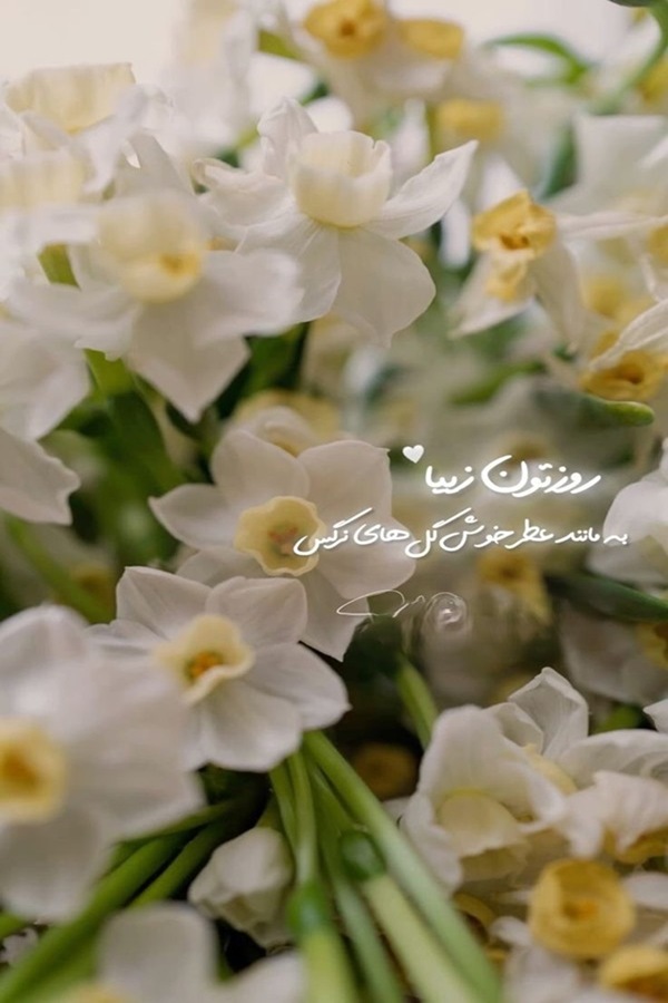 روز بخیر زیبا برای استوری 3