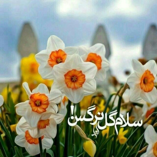 متن کوتاه سلام به امام زمان 5 سلام صبح بخیر امام زمانی جدید