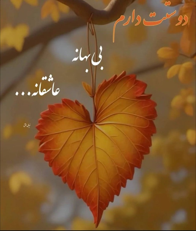 شعر عاشقانه جذب کننده 5 شعر عاشقانه جذب کننده برای مرد