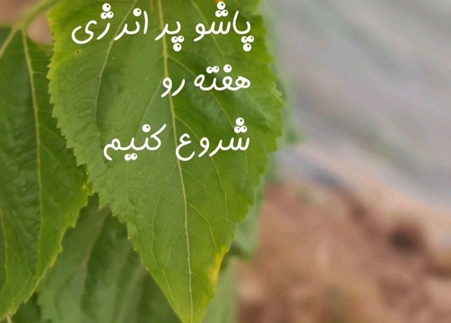متن شروع هفته 2 متن انگیزشی شروع هفته