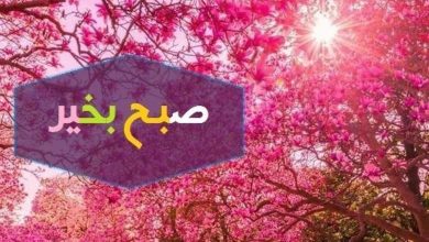 پیام صبح بخیر ادبی زیبا 1 صبح بخیر ادبی