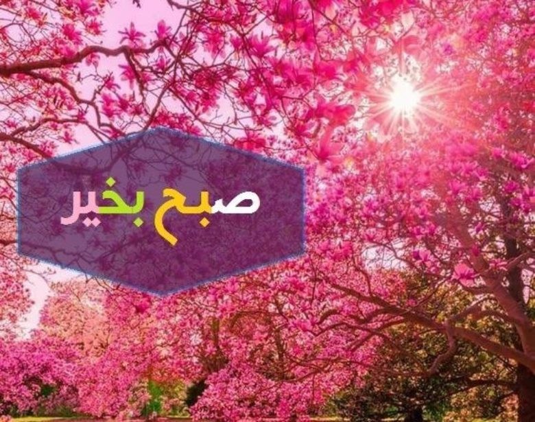 پیام صبح بخیر ادبی زیبا 1 صبح بخیر ادبی