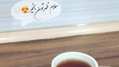 متن ظهر بخیر انگیزشی 349 ظهر بخیر