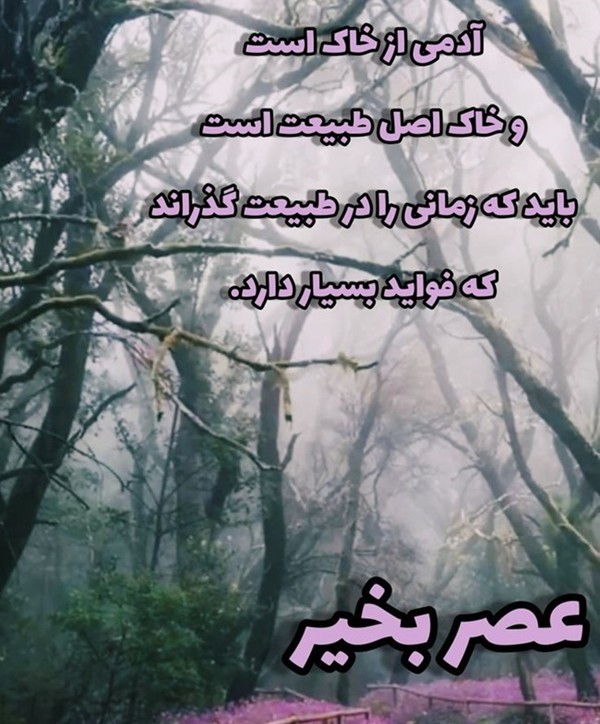 عصر بخیر زیبا و پر انرژی 7 عصر بخیر شاد