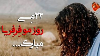 عکس روز جهانی مو فرفری ها