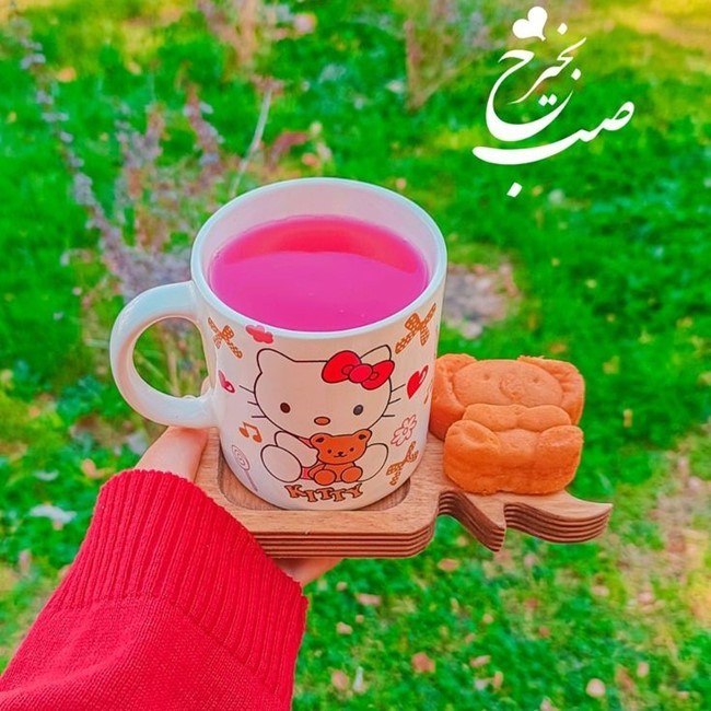 پیام صبح بخیر محترمانه 6 عکس صبح بخیر محترمانه