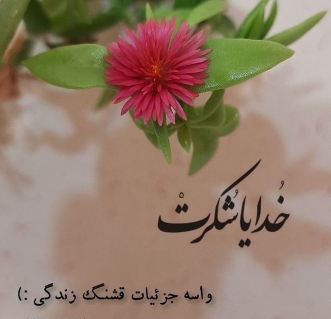 متن خدایا شکرت بخاطر این همه زیبایی