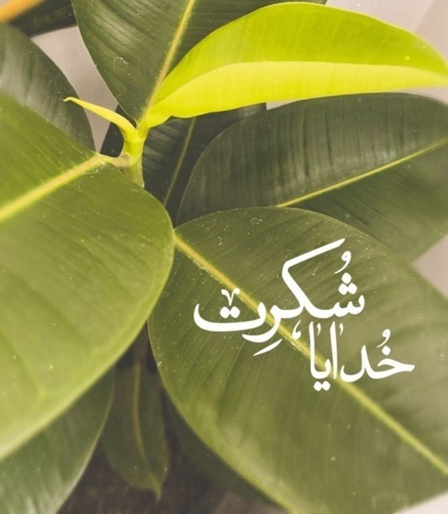 متن خدایا شکرت که هوامو داری